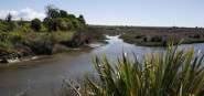 A waterway with green shrubbery. 