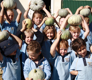 Primary school kids hold up pumpkins. 