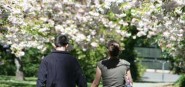 People walking in a park with blossoming trees. 