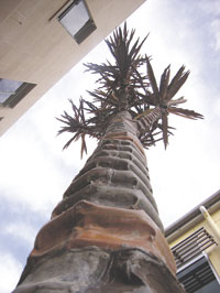 Cabbage tree sculpture by Jeff Thomson, 2005.