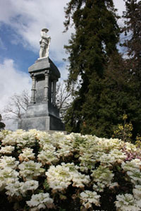 A stone monument of a soldier in the background with a white floral garden in th
