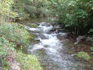 Wakapuaka River