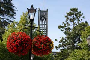 hanging baskets
