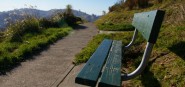 A footpath with a bench. 