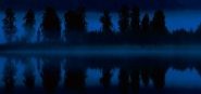 New Zealand Mystery & Adventure fiction