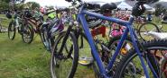 A row of bicycles. 