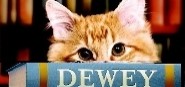 New adult non fiction