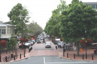 Example of mixed street activity.